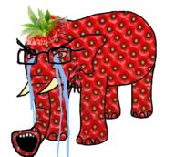 animal bloodshot_eyes crying ear elephant food foodjak fruit full_body glasses horn leaf leg open_mouth soyjak strawberry strawberry_elephant stubble variant:soyak // 696x623 // 498.9KB