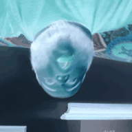 2019 3dgifmaker animated beard closed_mouth clothes ext=gif fat fat_duel glasses irl open_mouth red_tshirt schizo soyboy subvariant:fatjak_irl tshirt variant:fatjak // 255x255 // 1.3MB