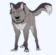 animal ear furry glasses grey open_mouth series:animaljaks soyjak stubble tail variant:shotjak wolf // 841x828 // 281.8KB