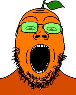 admin food froot froot_(user) fruit leaf namefags orange_(fruit) orange_skin soyjak soyjak_party subvariant:gapejak_front variant:gapejak // 500x622 // 20.1KB