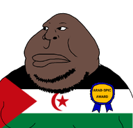 africa arab brown_skin fat flag:sahrawi_arab_democratic_republic flag:western_sahara hispanic moon nose spics stubble subvariant:arabmutt variant:meximutt western_sahara // 888x849 // 73.6KB