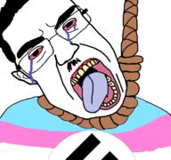 flag:transgender_pride_flag hanging subvariant:chudjak_front suicide swastika tranny variant:chudjak you're_the_same // 768x719 // 304.0KB