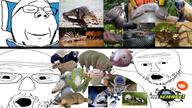 3soyjaks animal axolotl blanket blobfish capybara dust_mite frog glasses honey_badger i_fucking_love_science irl logo mustache open_mouth platypus reddit reddit_moment sleeping smile soyjak stubble subvariant:wholesome_soyjak variant:gapejak variant:two_pointing_soyjaks // 1920x1080 // 2.3MB