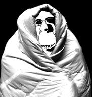 biting_lip blanket comfy creepy dark evil ominous rape smile soyjak subvariant:hornyson variant:cobson // 1377x1453 // 495.0KB