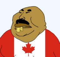 asian bald brown_skin buck_teeth canada closed_mouth fat flag:canada indian leafmutt lips mustache mutt subvariant:chinkmutt teeth variant:meximutt variant:pajeetjak yellow_teeth // 1665x1592 // 70.3KB