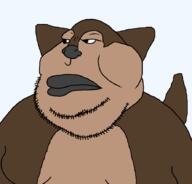 animal chihuahua_(dog_breed) dog transparent_background variant:meximutt // 888x849 // 19.8KB