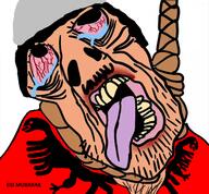 albania bloodshot_eyes cap clothes country crying english_text europe flag flag:albania hair hanging hat islam open_mouth ramadan reichsadler rope soyjak stubble subvariant:brunetto text tongue variant:bernd white_skin yellow_teeth // 485x450 // 250.7KB
