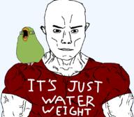 meta:cado_is_now_skinny nikocado_avocado parrot red_shirt subvariant:muscular_chud variant:cadojak variant:chudjak variant:markiplier_soyjak // 1059x929 // 60.8KB