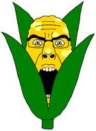corn cornson front_facing glasses looking_at_you subvariant:cobson_front2 variant:cobson // 875x1196 // 51.4KB