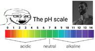 gigachad glasses open_mouth ph_scale soyjak stubble text variant:soyak // 854x458 // 136.4KB