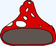 accessory clothes hat meta:nas mushroom nas:soyjak_accessory plant red shroom soyjak_forum white // 419x347 // 38.2KB accessory clothes hat meta:nas mushroom nas:soyjak_accessory plant red shroom soyjak_forum white // 419x347 // 38.2KB