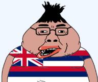 amerimutt flag hawaii oceania subvariant:tongamutt // 1091x916 // 64.4KB