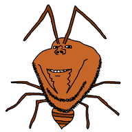 animal ant brown_skin insects series:animaljaks variant:impish_soyak_ears white_background // 464x463 // 37.7KB