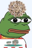 amphibian bald canada canadian closed_mouth clothes country fish flag flag:prince_edward_island food frog green_skin irl lips looking_at_you nas nas:pepe oyster pepe_the_frog prince_edward_island providence seafood series:pepe_hat shell transparent_background tshirt // 1008x1479 // 735.5KB