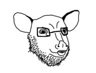 muntjak // 1641x1244 // 85.6KB