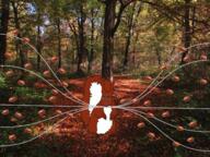 acorn forest full_body glasses irl irl_background open_mouth soyjak subvariant:feralsquirrel tail trend:squirreljakking variant:feraljak variant:unknown // 1440x1080 // 3.3MB