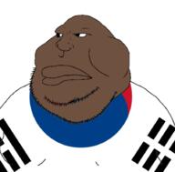 flag shitskin south_korea variant:meximutt // 911x898 // 218.1KB