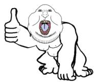 template variant:meximutt // 255x212 // 21.9KB