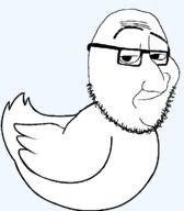 bird glasses meta:tagme series:animaljaks smile smug soyjak stubble subvariant:smugquack variant:smugjak // 627x716 // 455.3KB