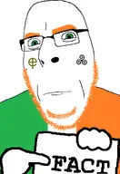 bald beard celtic celtic_cross fact flag:ireland gaelic glasses green_eyes ireland irish_flag looking_at_you pointing series:countryaryan_gem! sign stubble variant:cobson white_skin // 1675x2436 // 636.9KB