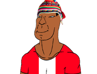 blue_eyes brown_skin closed_mouth clothes hat indigenous peru peruvian peruvian_hat smile subvariant:niparyan variant:meximutt // 872x667 // 80.7KB