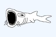 animal fin fish full_body gills open_mouth series:animaljaks shark soyjak transparent_background whisker // 1500x1000 // 36.9KB