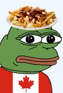 amphibian bald canada canadian cheese cheese_curds closed_mouth clothes country flag flag:canada food french_fries fries frog gravy green_skin irl leaf lips looking_at_you maple_leaf nas nas:pepe neutral pepe_the_frog plate poutine series:pepe_hat transparent_background tshirt // 1008x1479 // 506.2KB