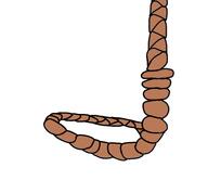 meta:nas noose rope template white_background // 600x556 // 72.3KB
