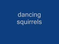 animated blue_skin calm cyan_skin dance green_skin headphones multiple_soyjaks music notes orange_skin purple_skin rainbow red_skin squirrel subvariant:feralsquirrel variant:feraljak video yellow_skin // 320x240, 76.7s // 3.3MB