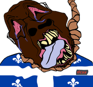 ack black_skin bloodshot_eyes canada crying dcss_(shiwi) distorted flag flag:quebec fleur-de-lys hair kiwifarms noose quebec rope shiwi soyjak suicide teeth text tongue variant:bernd yellow_teeth // 1677x1569 // 660.1KB