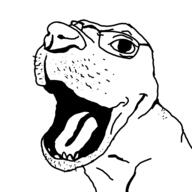 animal dog glasses meta:tagme soyjak teeth tongue variant:unknown // 2048x2048 // 154.2KB