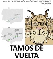 animal iberia iberian_penisula lynx meta:tagme population spansh_text text variant:markiplier_soyjak // 1080x1205 // 127.3KB