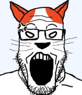 anger_mark animal cat glasses marsey open_mouth rdrama soyjak stubble variant:markiplier_soyjak // 600x696 // 213.9KB