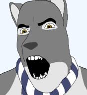 angry fangs furry november open_mouth scarf soyjak variant:cobson wolf yellow_eyes // 721x789 // 22.1KB