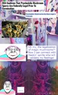 btfo comic demon drugs image mushroom psychedelic spirit transgender_flag troon troonella wholesome // 544x891 // 789.4KB