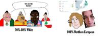 Astrofene_(namefag) HispanidadConquistador(namefag) chudnater2(namefag) joel_(user) le_100_percent_face satoko_houjou(namefag) self_instered_award variant:meximutt // 2586x996 // 588.5KB