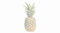 ahegao apple ashbie buff clenched_teeth crying doja_cat drool female femboy fisting food foodjak fruit gay guilty_gear heart jack_o_pose leg meme meta:tagme music naked nas niggerstone nsfw open_mouth pineapple raised_eyebrow sex slut smv song:doja_cat_-_like_that sound stretched_mouth subvariant:sprokejak subvariant:wholesome_soyjak variant:a24_slowburn_soyjak variant:chudjak variant:cobson variant:feraljak variant:gapejak variant:soyak video // 1280x720, 35.8s // 5.3MB