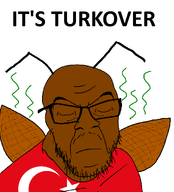 antenna brown_skin closed_eyes closed_mouth cockroach flag:turkiye glasses its_over roach soyjak stubble text turkiye variant:feraljak white_background wing