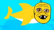 baby baby_shark deformed shark subvariant:jacobson variant:a24_slowburn_soyjak yellow // 960x540 // 86.2KB