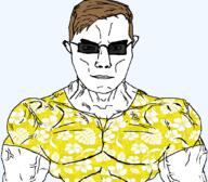 angry buff chud closed_mouth ear glasses hair hawaiian_shirt pojary polish ryan_marvees smug soyjak subvariant:chudjak_front subvariant:muscular_chud sunglasses variant:chudjak vein // 1059x929 // 632.8KB