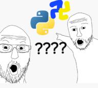 2soyjaks nazi_germany nazism python_(programming_language) soyjak swastika variant:two_pointing_soyjaks // 690x618 // 173.0KB