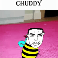 animated bee bug closed_mouth ext=gif flying glasses stinger subvariant:pol_face variant:chudjak whatever_go_my_scarab wing // 439x598 // 1.6MB