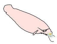 animal baby babyjak binky caca catfish fish glasses pacifier stubble variant:unknown white_skin // 3468x2647 // 208.9KB