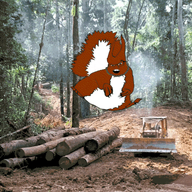 animal animated arm blood decapitation ear full_body glasses hand hanging irl_background leg open_mouth rope severed_head soyjak subvariant:feralsquirrel suicide tail trend:squirreljakking variant:feraljak // 1200x783 // 3.3MB