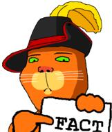 animal cat closed_mouth clothes dreamworks fact green_eyes hand hat holding_object puss_in_boots soyjak text variant:gapejak whisker // 743x882 // 46.6KB