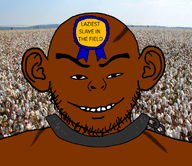 award chains cotton_picking meta:idk_the_subvariant_tag_me_plz_thank_you_ily nigger scars slave subvariant:impish_unc variant:uncjak // 900x776 // 620.3KB