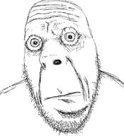 911 scared sketch soyjak stubble variant:cobson // 775x849 // 41.0KB