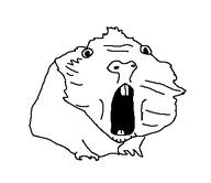 animal buck_teeth open_mouth soyjak stubble variant:unknown // 393x340 // 6.5KB