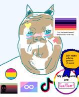 :3 award flag:necrosexual_pride_flag flag:pansexual_pride_flag furry heart meta:unfunny_garbage necrophilia pastel_colors pronouns silly star tiktok variant:alicia vitiligo zillyjak // 592x720 // 56.5KB