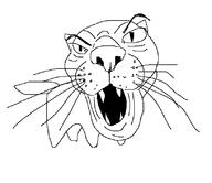 animal cat soy soyjak // 813x701 // 26.5KB